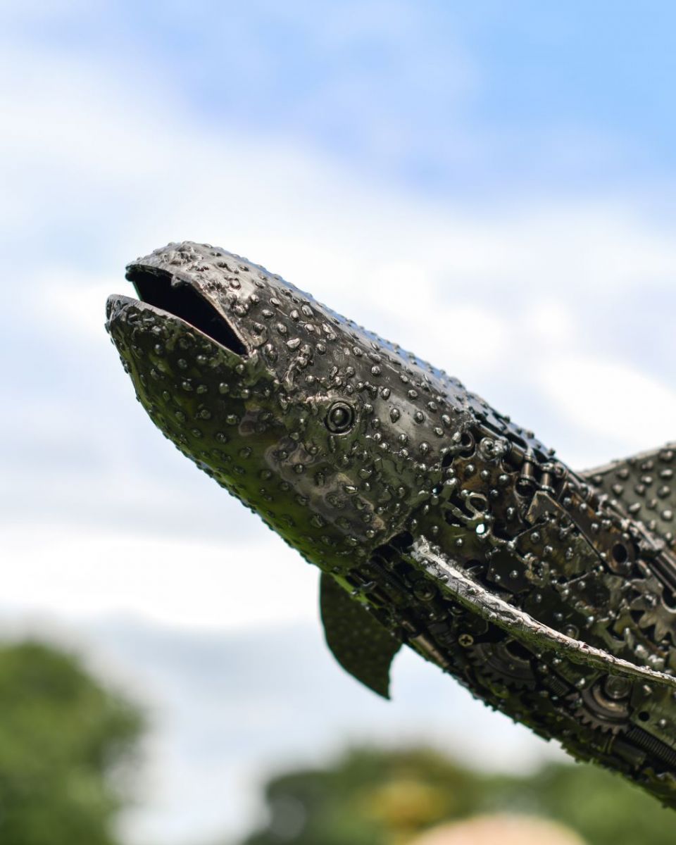 Close up of Recycled Metal Whale Shark eye