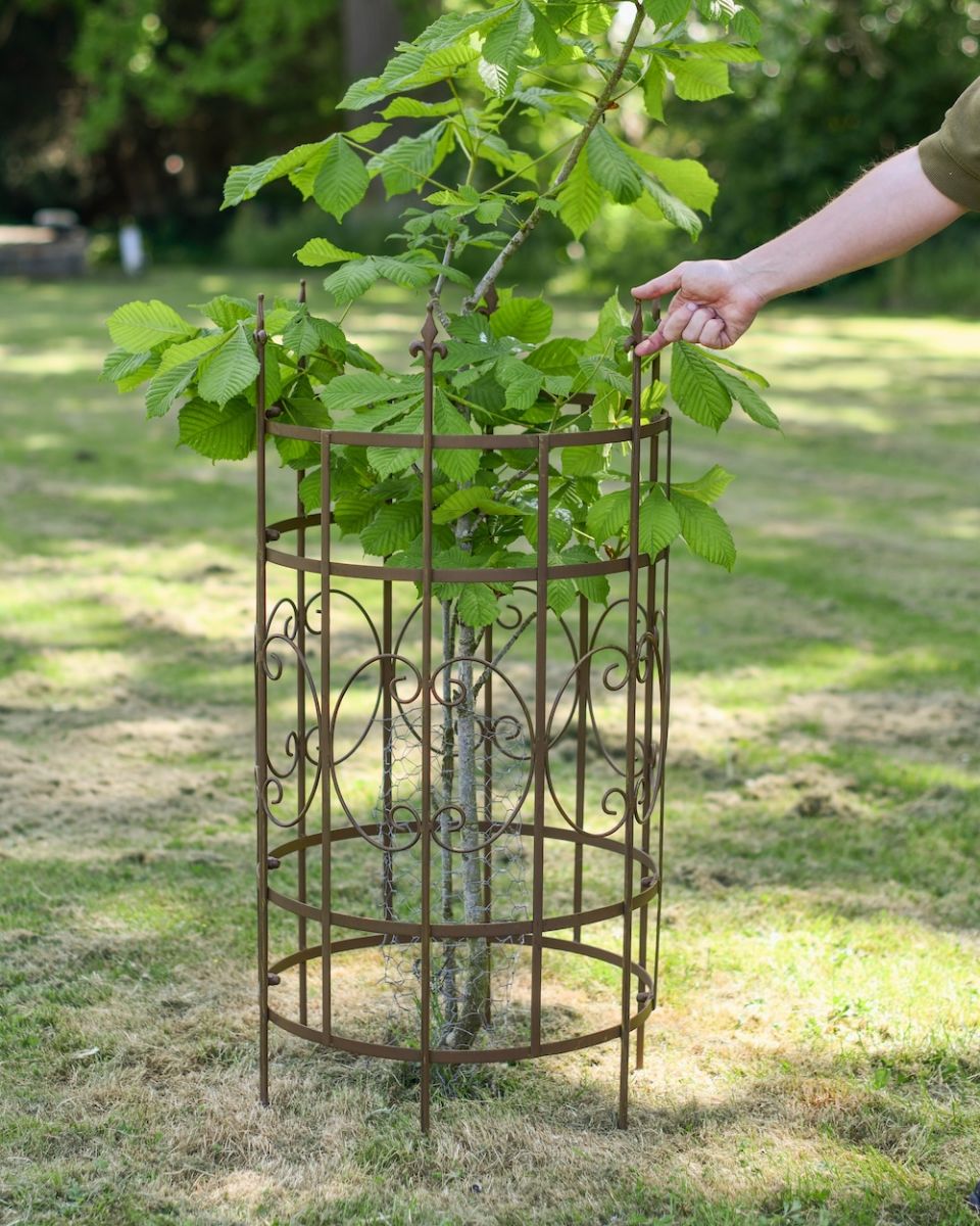 Scale image of steel ornate tree guard Scale image of steel ornate tree guard
