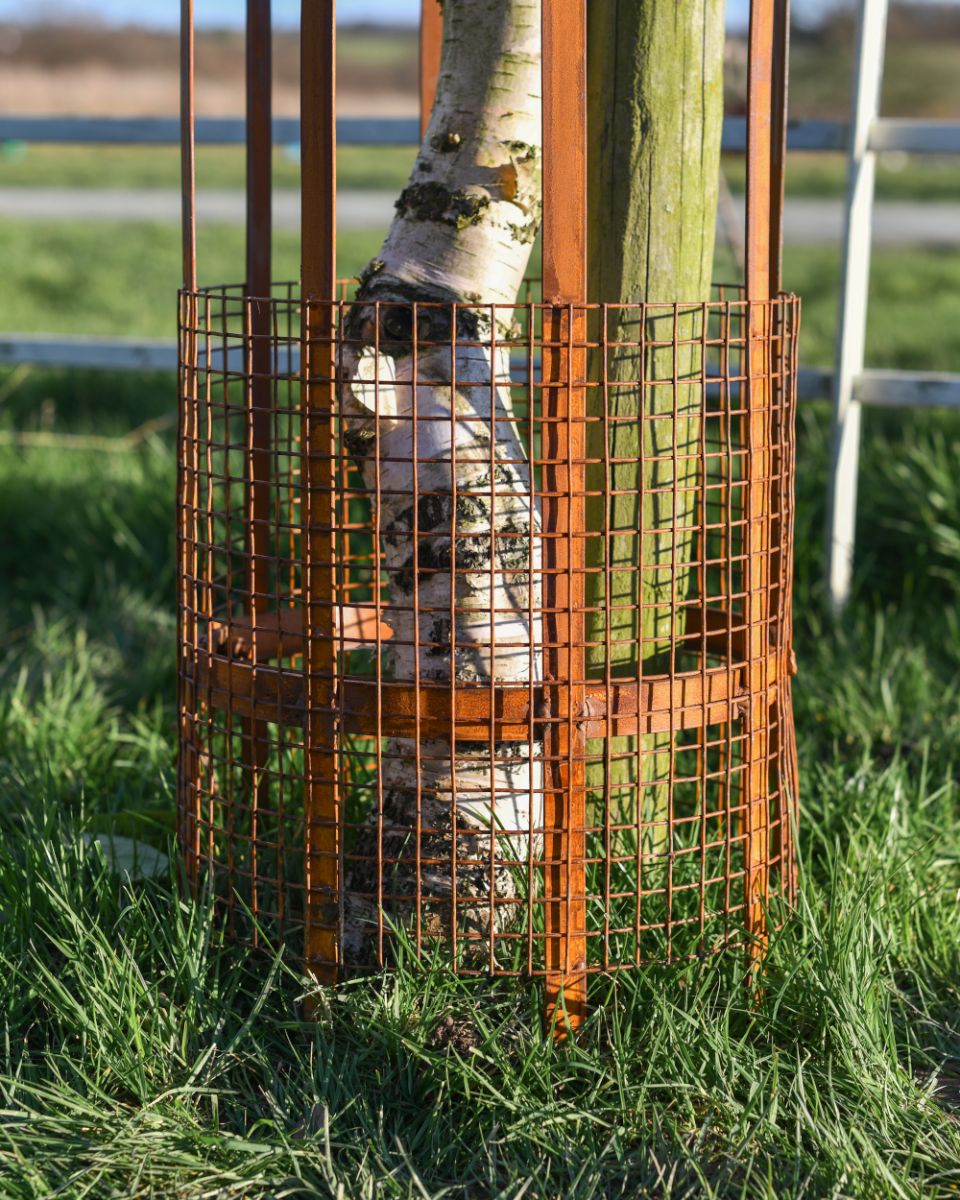 Close up Of The Wire To Prevent Pests