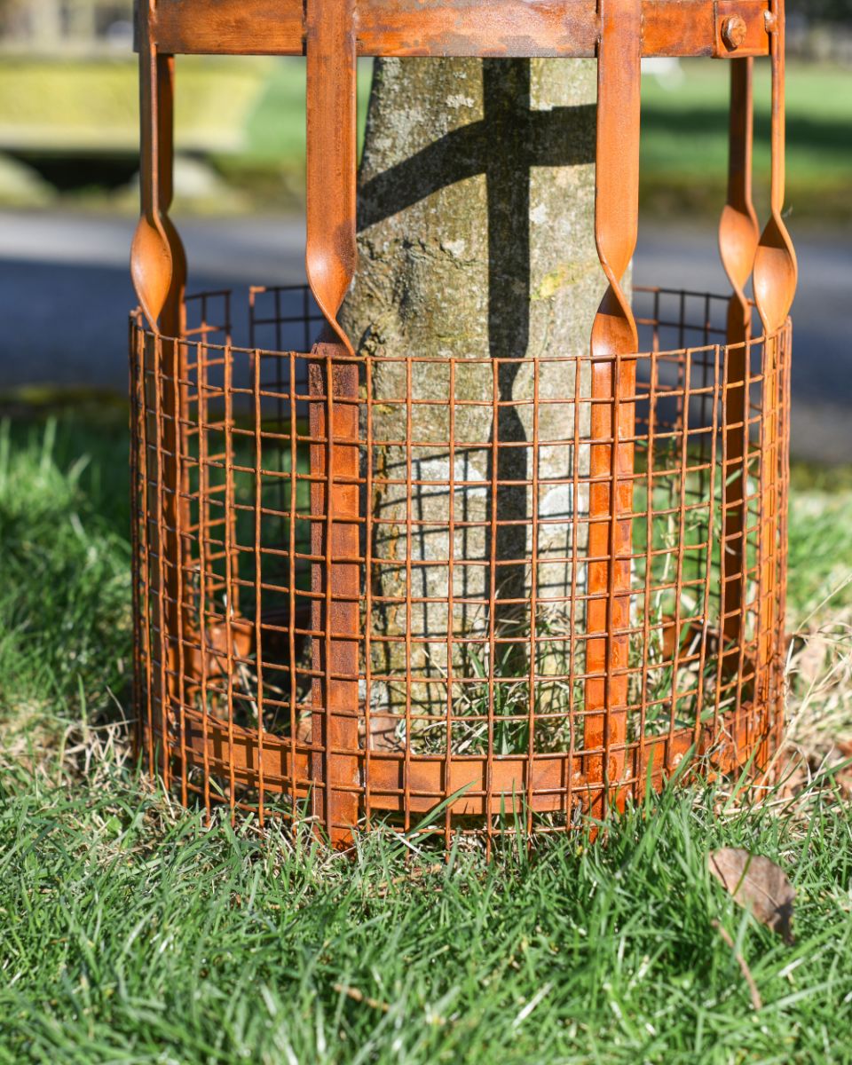 Close Up Of The Wire On The Beeston Tree Guard Close Up Of The Wire On The Beeston Tree Guard