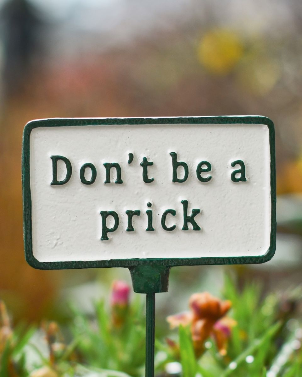 Witty Cast Iron Plant Pot Spike “Don’t Be a Prick” close up image