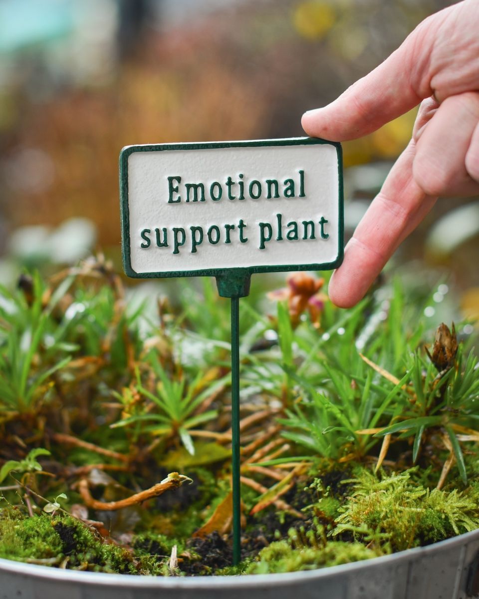 Witty Cast Iron Plant Pot Spike “Emotional Support Plant” to scale with hand for reference