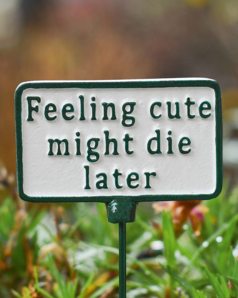 Witty Cast Iron Plant Pot Spike “Feeling Cute Might Die Later” close up image