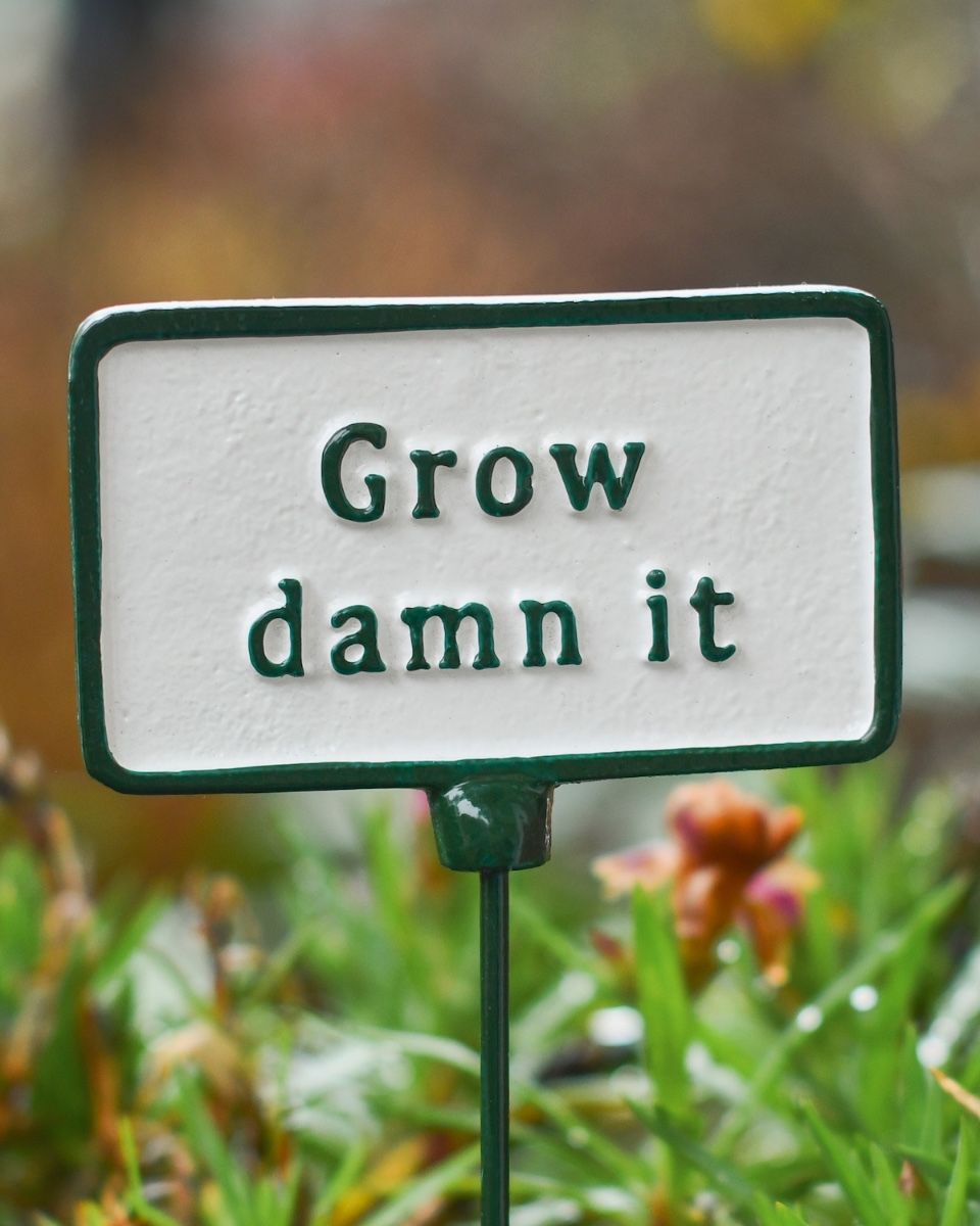 Witty Cast Iron Plant Pot Spike “Grow Damn it” close up