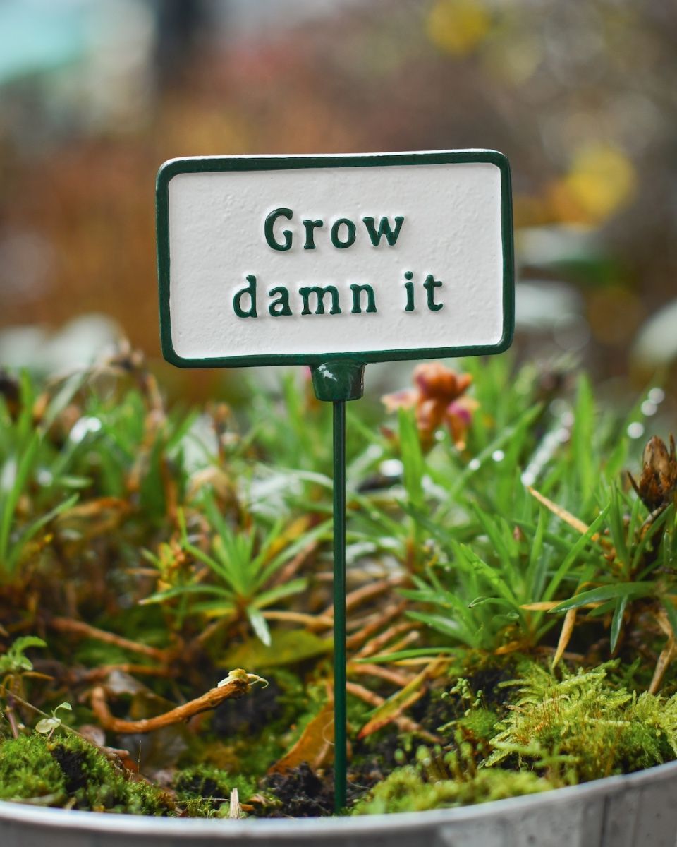 Witty Cast Iron Plant Pot Spike “Grow Damn it” main image
