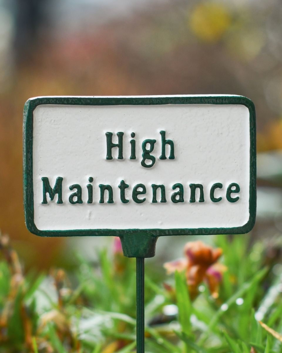 Witty Cast Iron Plant Pot Spike “High Maintenance” close up image