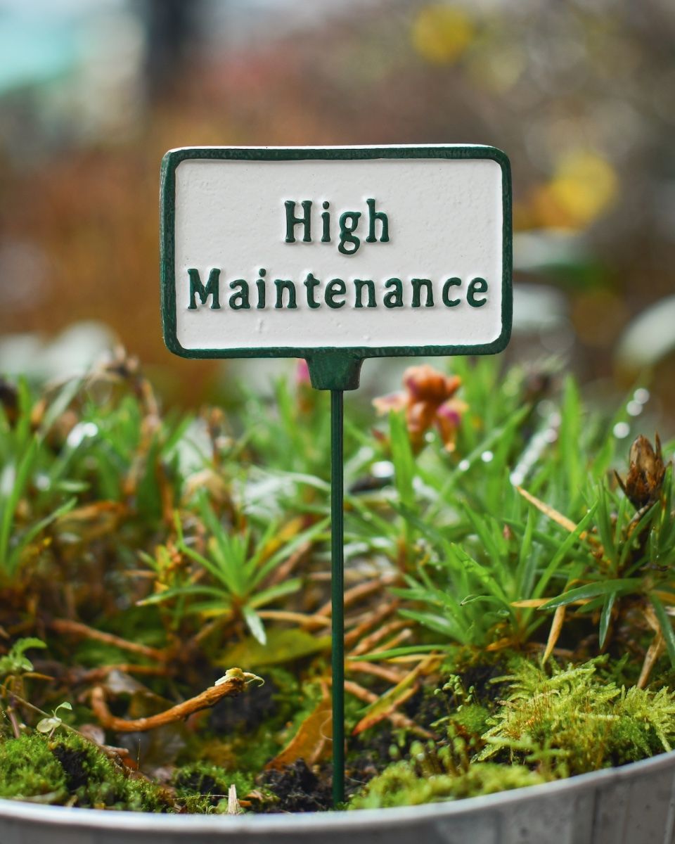 Witty Cast Iron Plant Pot Spike “High Maintenance” main image