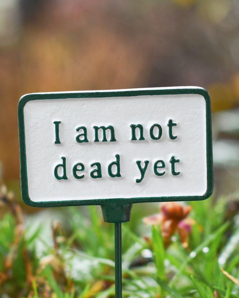 Witty Cast Iron Plant Pot Spike “I am Not Dead Yet” close up
