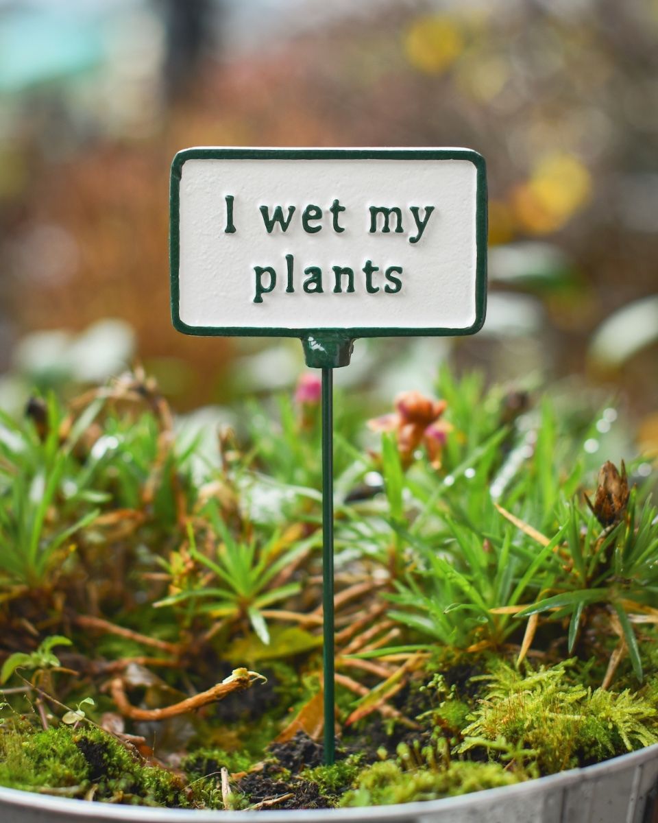 Witty Cast Iron Plant Pot Spike “I wet my Plants” main image