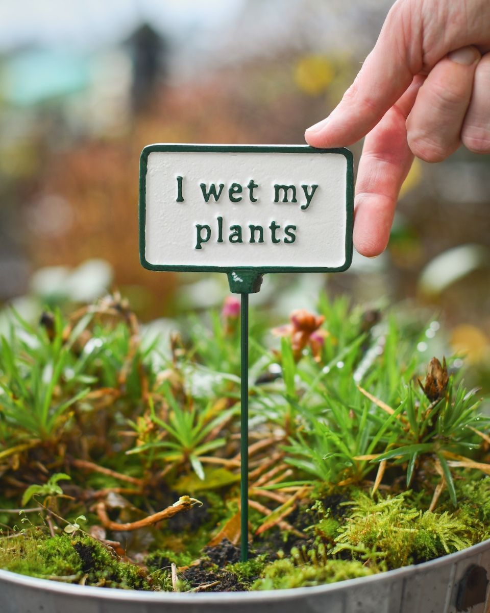 Witty Cast Iron Plant Pot Spike “I wet my Plants” close up with hand to reference scale