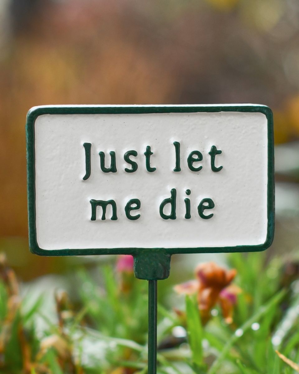 Witty Cast Iron Plant Pot Spike “Just Let Me Die” close up image