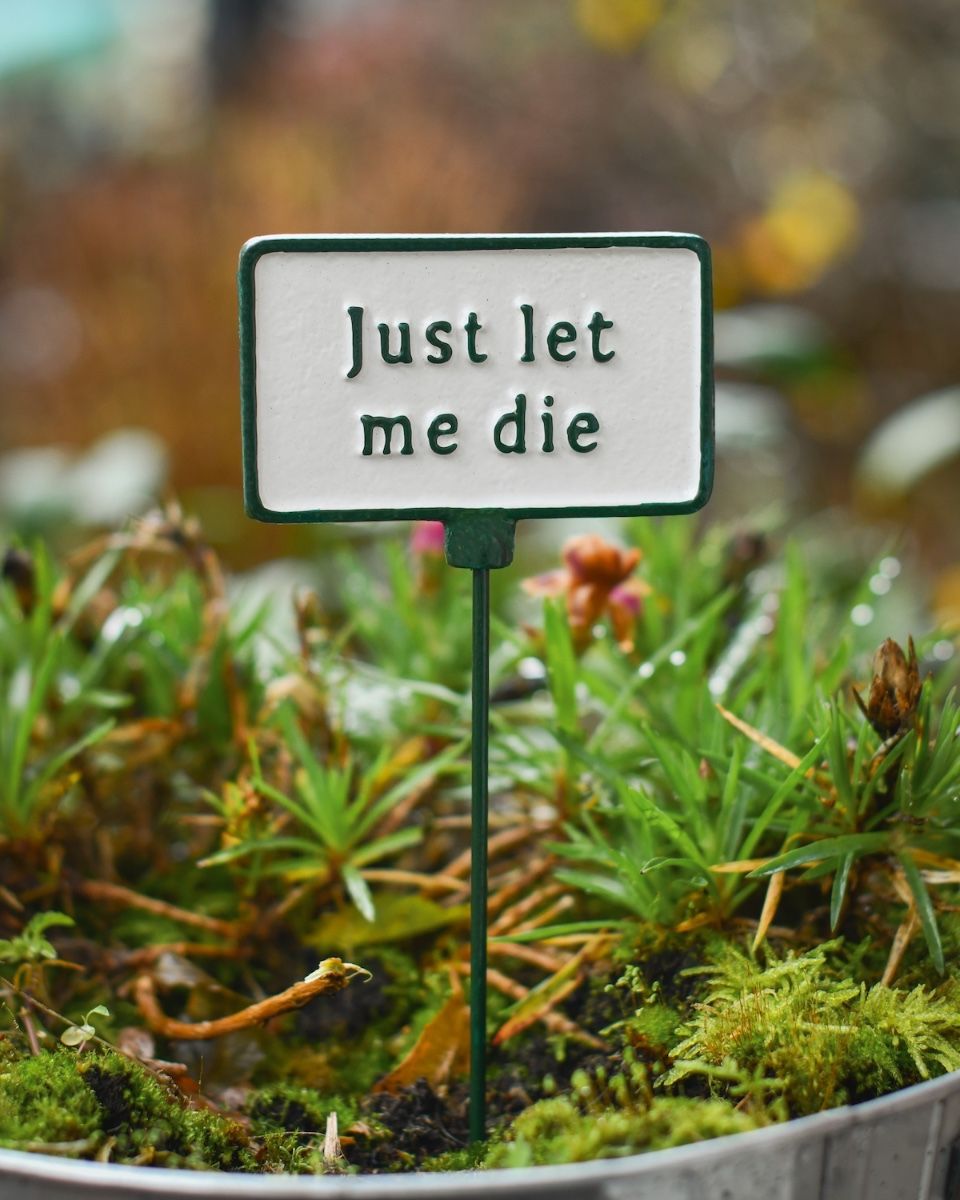 Witty Cast Iron Plant Pot Spike “Just Let Me Die” main image