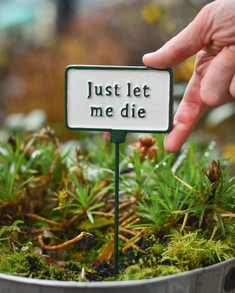 Witty Cast Iron Plant Pot Spike “Just Let Me Die” to scale with hand for reference
