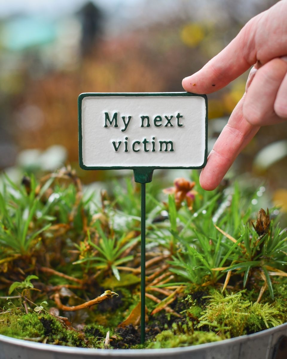 Witty Cast Iron Plant Pot Spike “My Next Victim” to scale with hand for reference