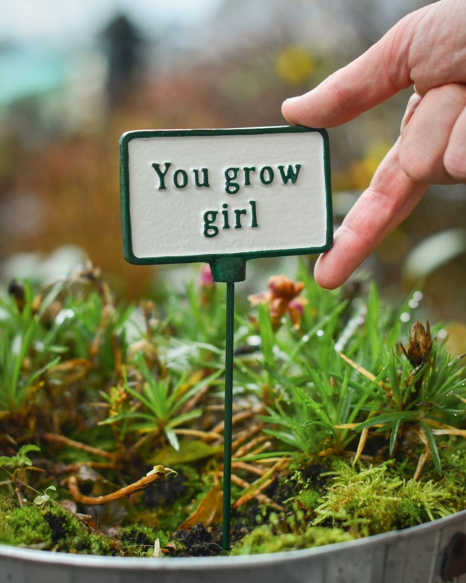 Witty Cast Iron Plant Pot Spike “You Grow Girl” to scale with hand for reference