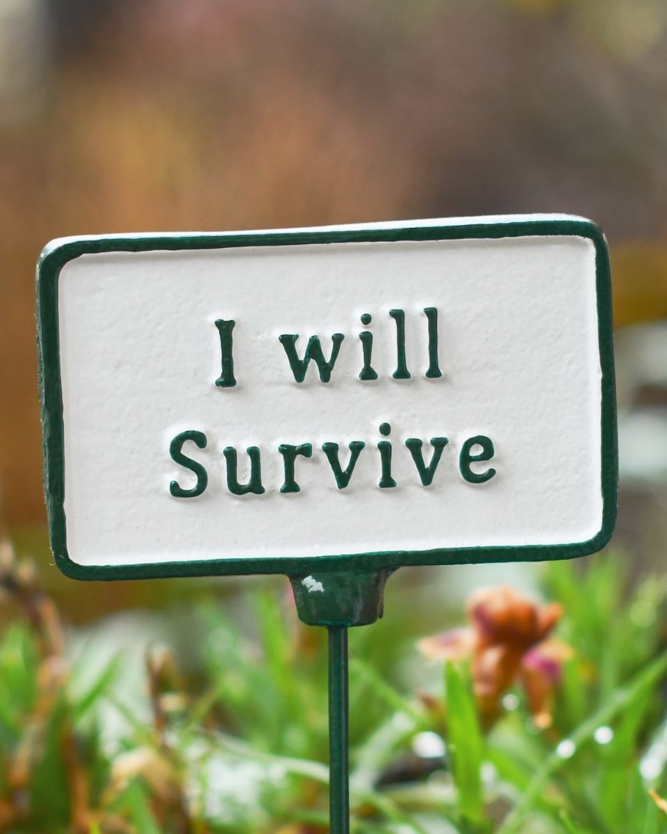 Witty plant pot spike I will survive close up