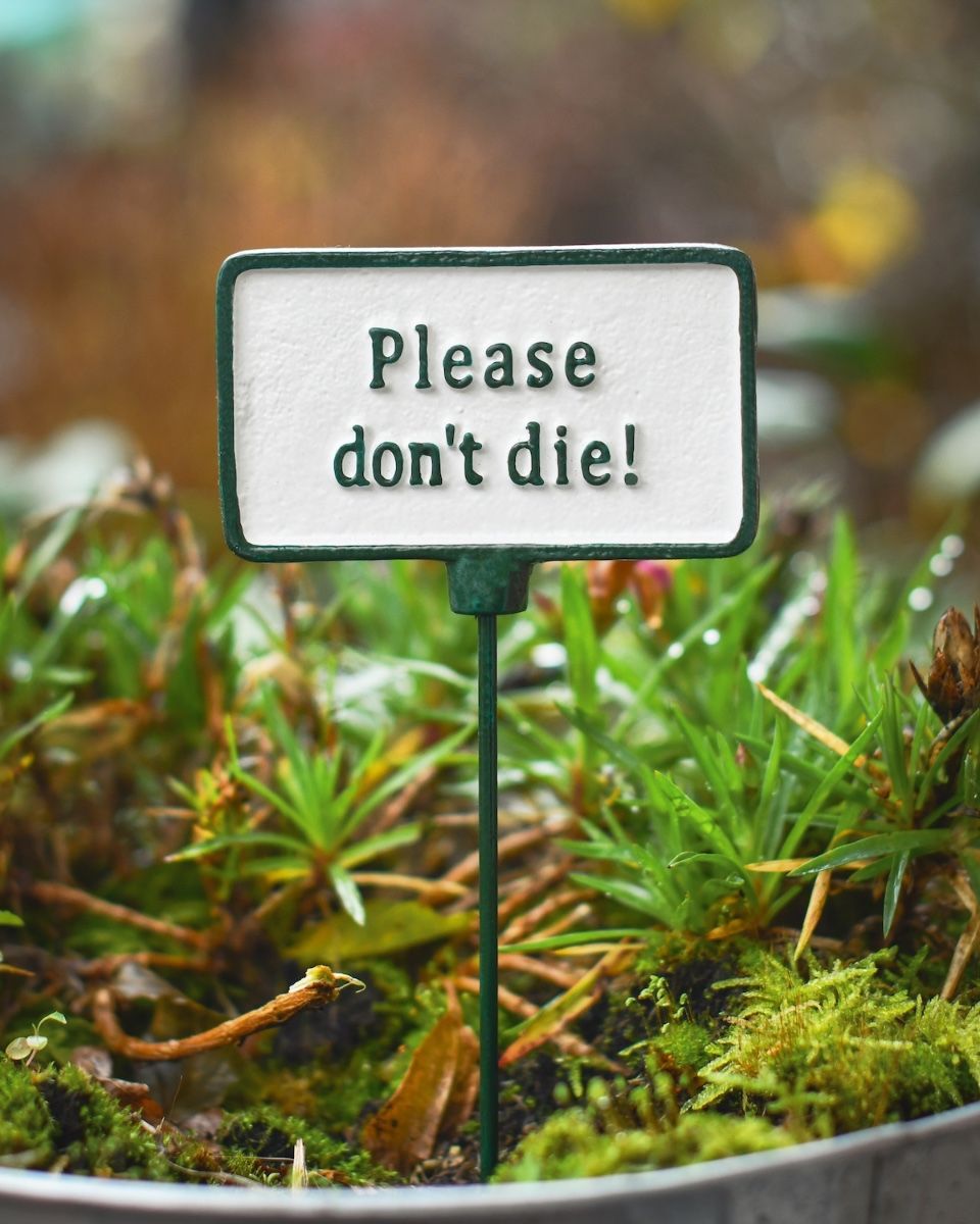 Witty plant pot spike Please dont die main