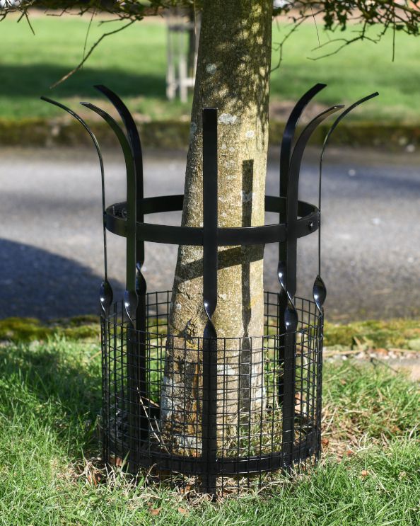 Small Wrought Iron Black Tree Guard