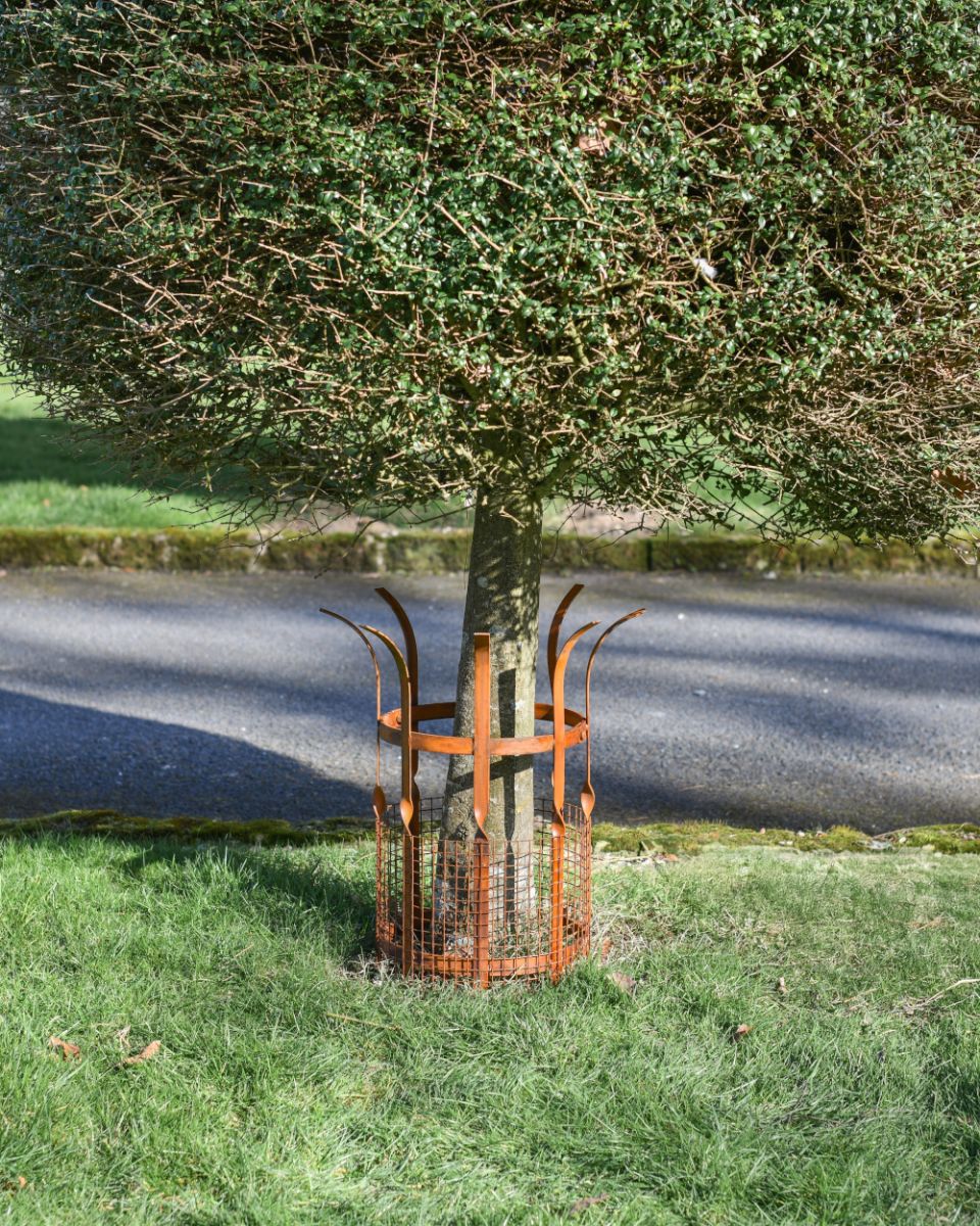 Beeston Rustic Iron Tree Guard Beeston Rustic Iron Tree Guard
