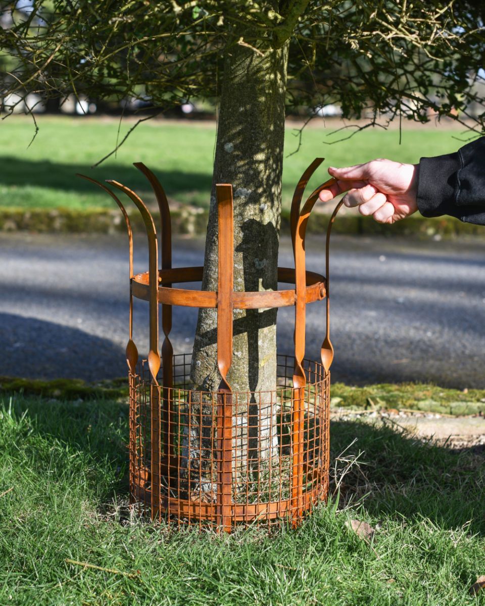 Scale Of The Beeston Rustic Tree Guard Scale Of The Beeston Rustic Tree Guard