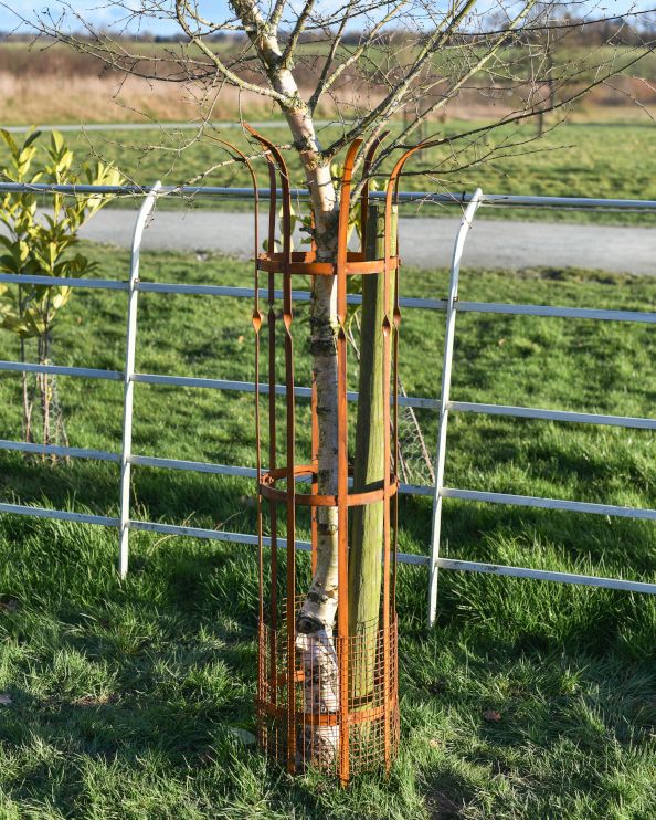 Wrought Iron "Sandridge" Rustic Tree Guard