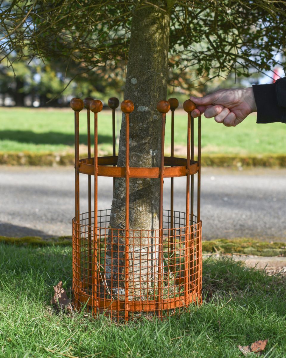 Scale Of The Wrought Iron Traditional "Burghley" Rustic Tree Guard Scale Of The Wrought Iron Traditional "Burghley" Rustic Tree Guard