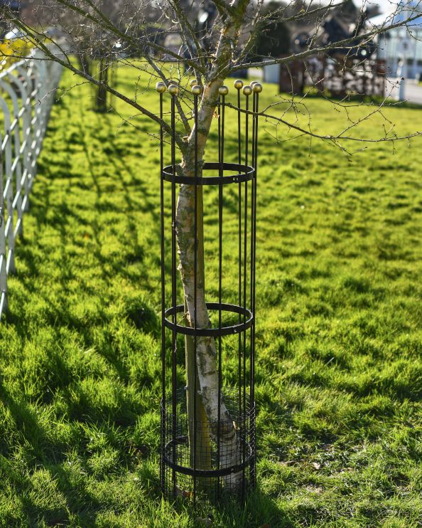 Traditional "Fernhill" Black Tree Guard