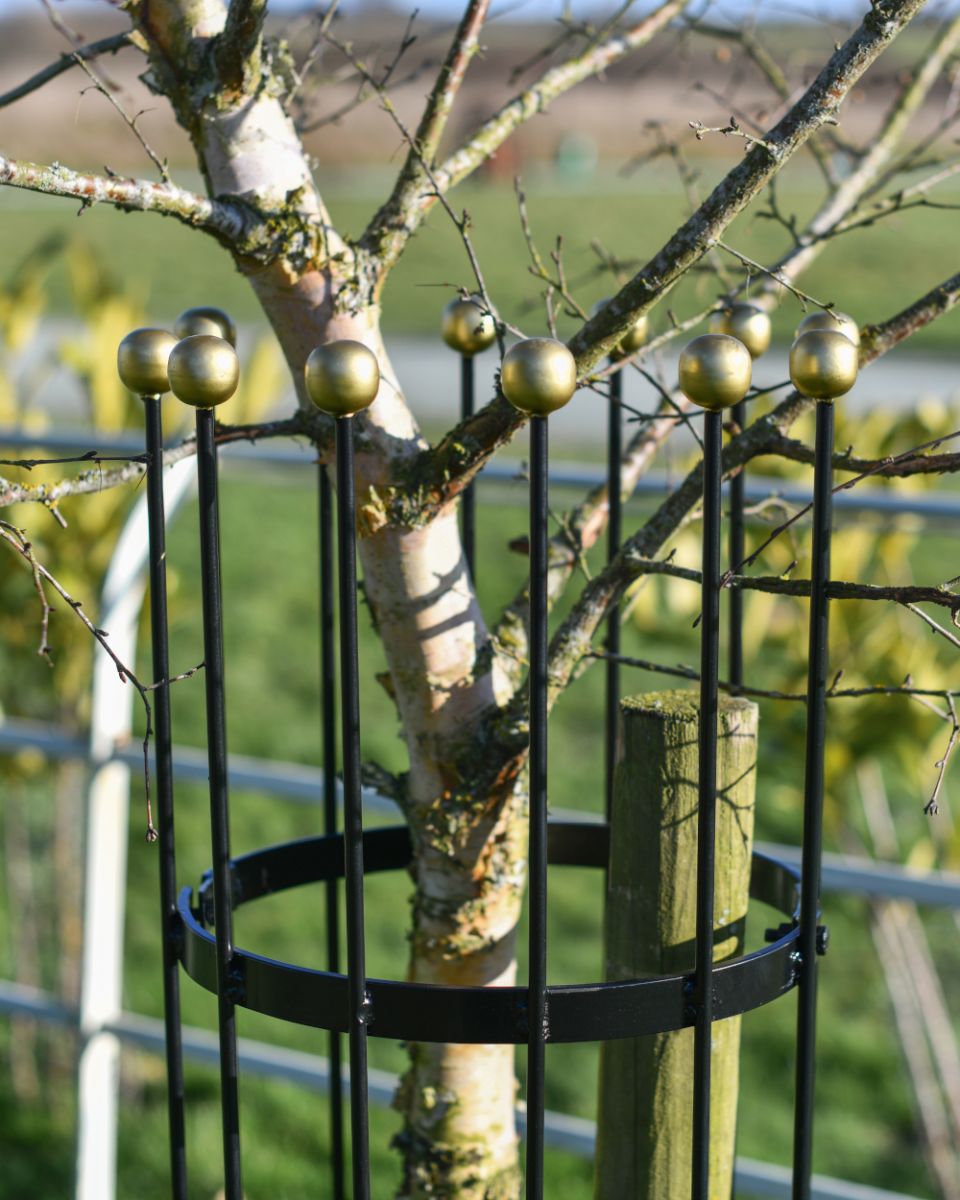 Finials On The Black Fernhill Tree Guard