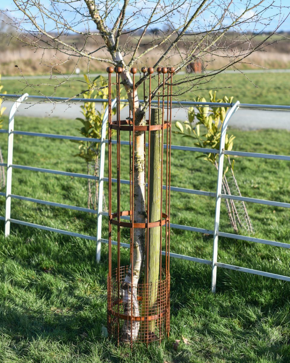 Wrought Iron Traditional "Fernhill" Rustic Tree Guard