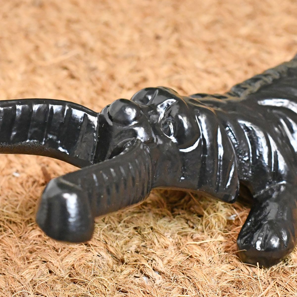 Close up of dog & Bone Jack