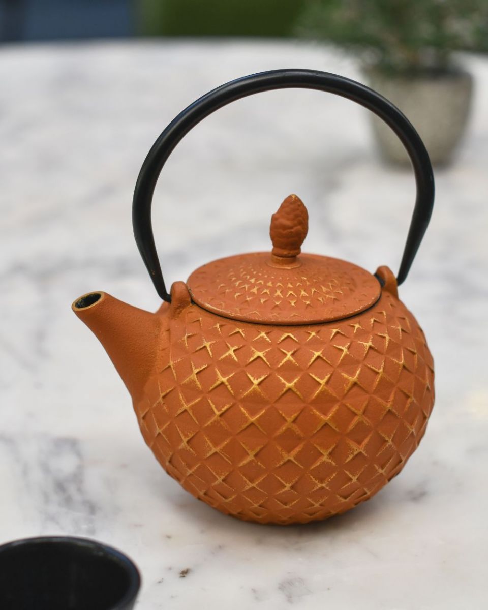 "Xinbei" Cast Iron Orange Japanese Style Teapot "Xinbei" Cast Iron Orange Japanese Style Teapot