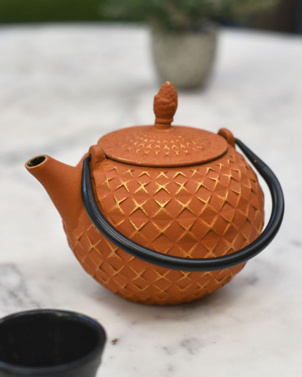 Side view of "Xinbei" Cast Iron Orange Japanese Style Teapot Side view of "Xinbei" Cast Iron Orange Japanese Style Teapot