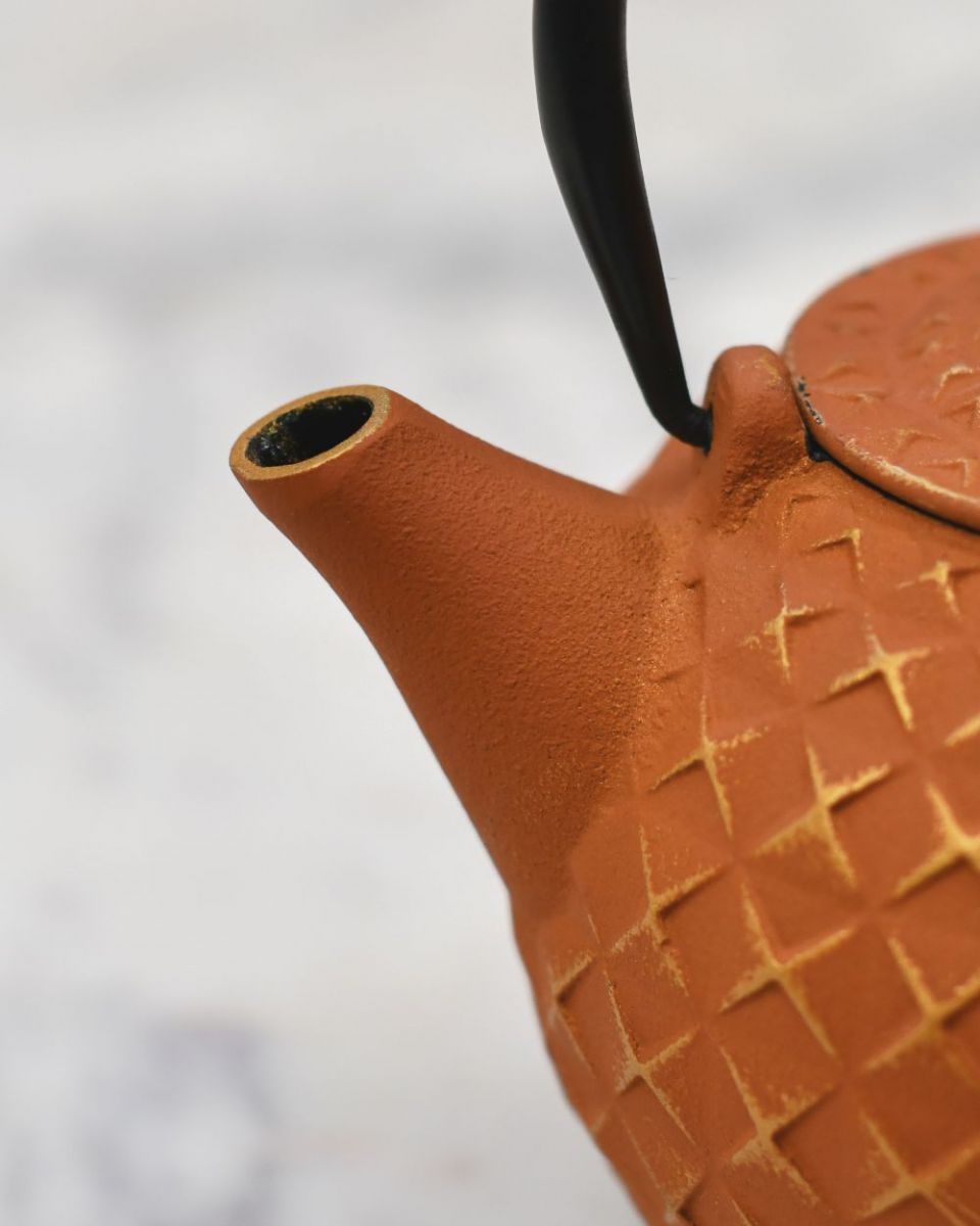 Close up of "Xinbei" Cast Iron Orange Japanese Style Teapot spout Close up of "Xinbei" Cast Iron Orange Japanese Style Teapot spout