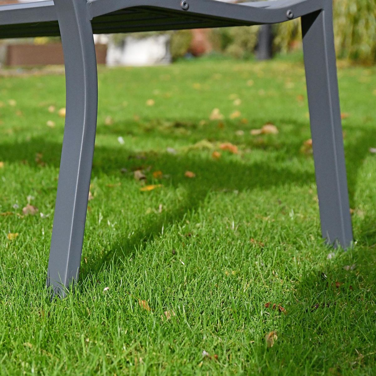 Close-up of the Legs on the Bench