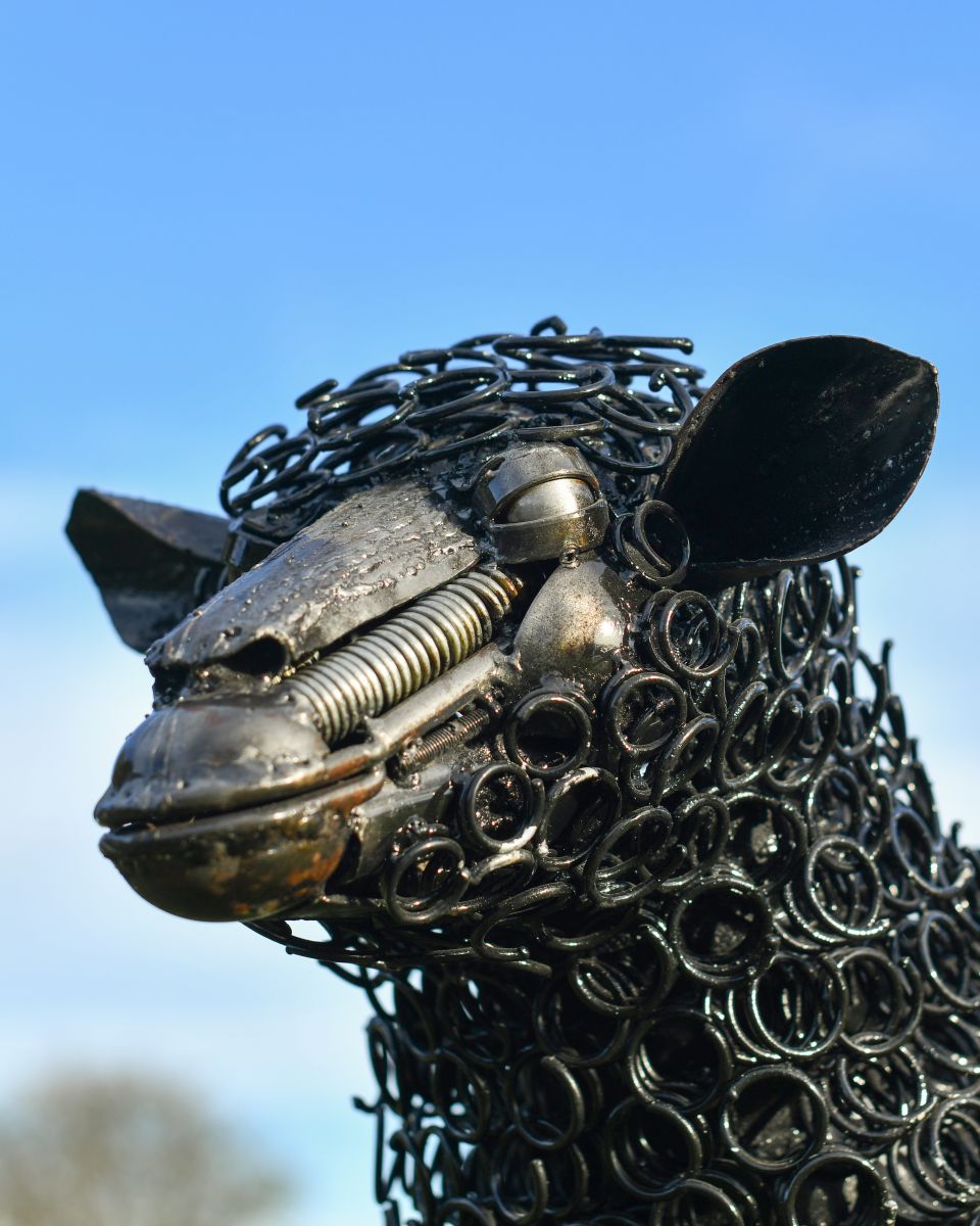 Sheep"s face, made from recycled materials  Sheep"s face, made from recycled materials