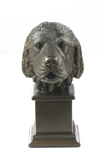 Newfoundland Dog Bust Newfoundland Dog Bust