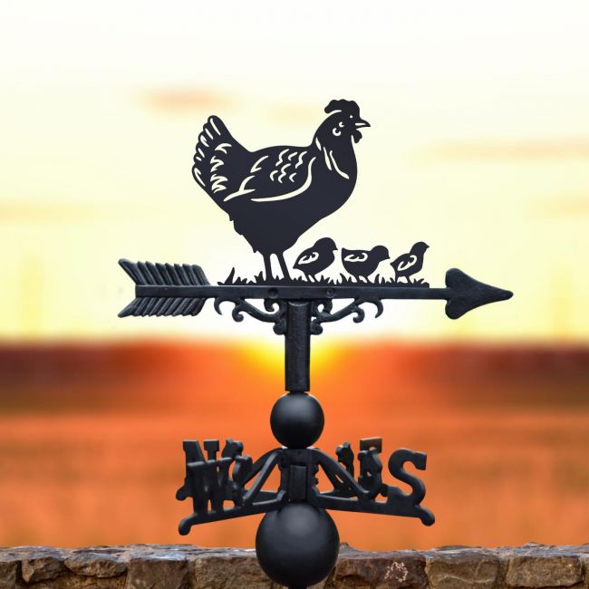 Hen & three chicks weathervane in the sunset Hen & three chicks weathervane in the sunset