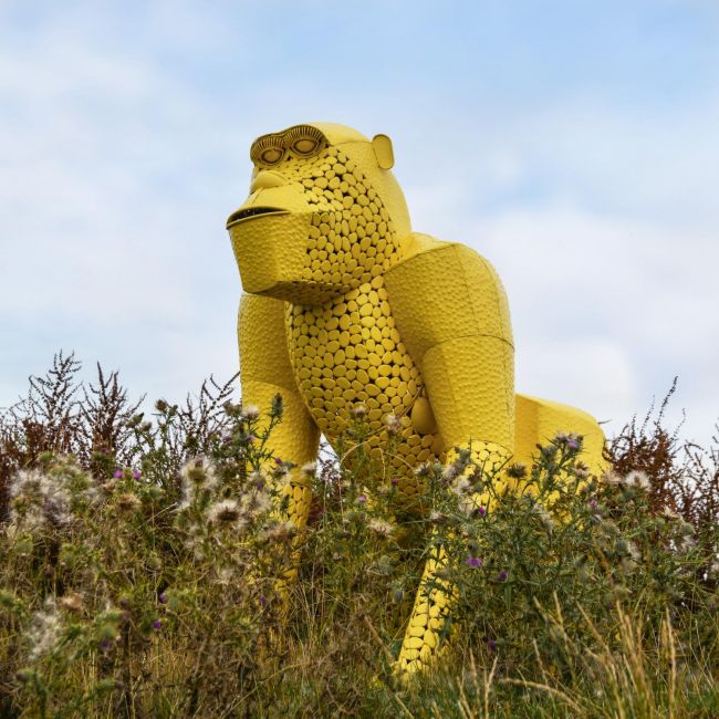 “Lord Greystoke” Stunning Silverback Gorilla Sculpture - Yellow “Lord Greystoke” Stunning Silverback Gorilla Sculpture - Yellow