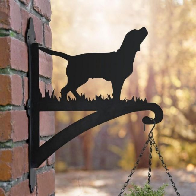 Beagle Iron Hanging Basket Bracket in Situ on a house in the Sun Rise