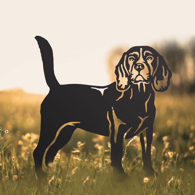 Beagle Silhouette in Situ in a Field Beagle Silhouette in Situ in a Field