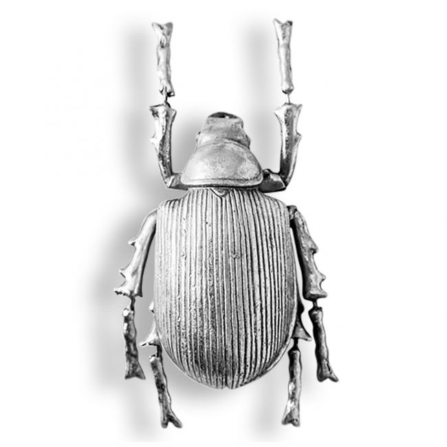 Beatle Wall Art in a Silver Finish Beatle Wall Art in a Silver Finish