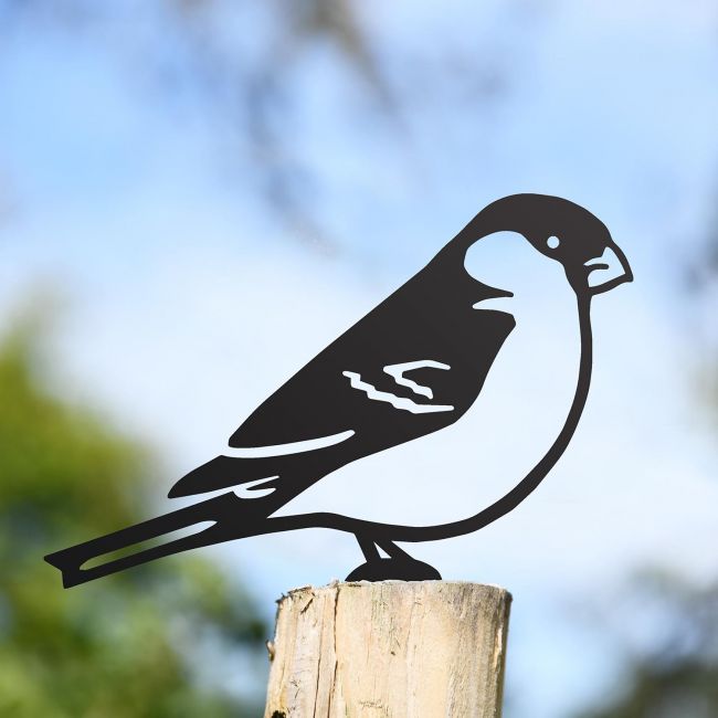 Black Bullfinch Steel Fence Topper