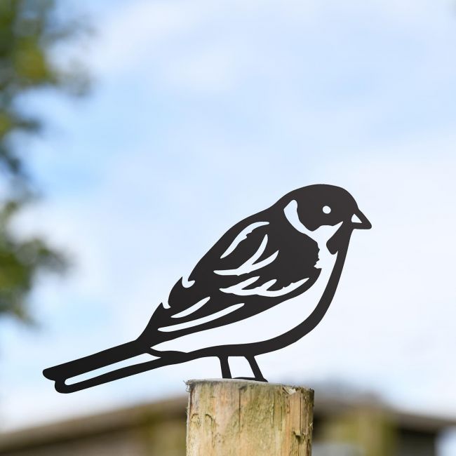 Black Reed Bunting Steel Fence Topper