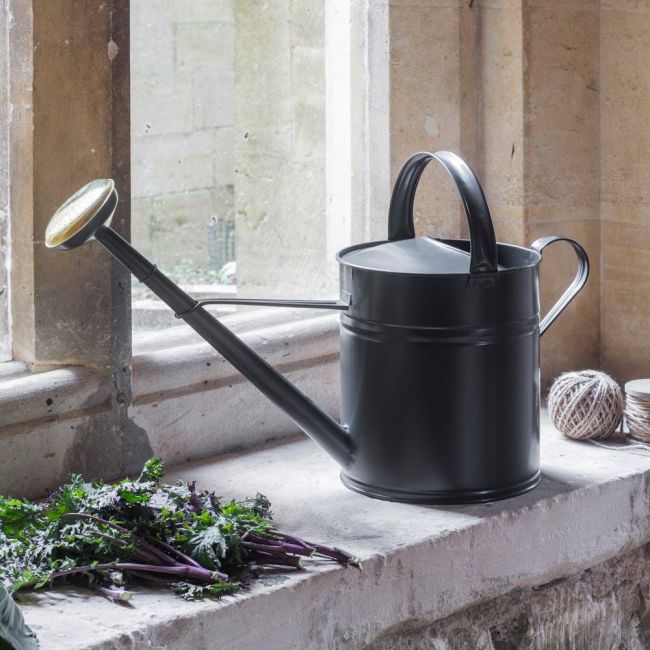 Black Traditional Watering Can in Situ Black Traditional Watering Can in Situ
