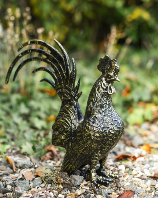 Black and gold rooster three quarter view Black and gold rooster three quarter view