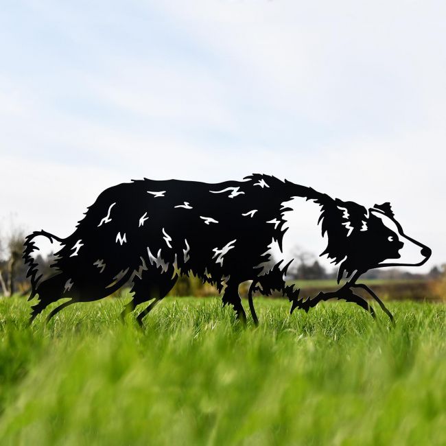 Black Border Collie Sheepdog Silhouette in Situ in the Grass Black Border Collie Sheepdog Silhouette in Situ in the Grass