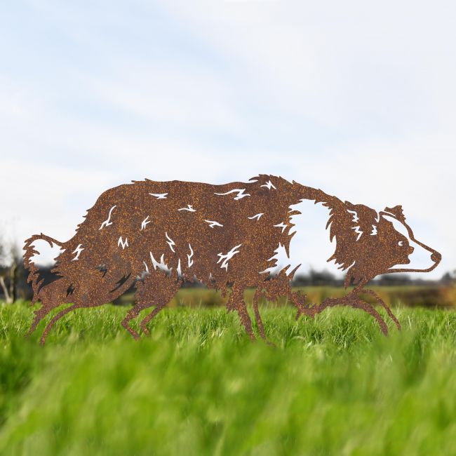 Rustic Border Collie Silhouette Rustic Border Collie Silhouette