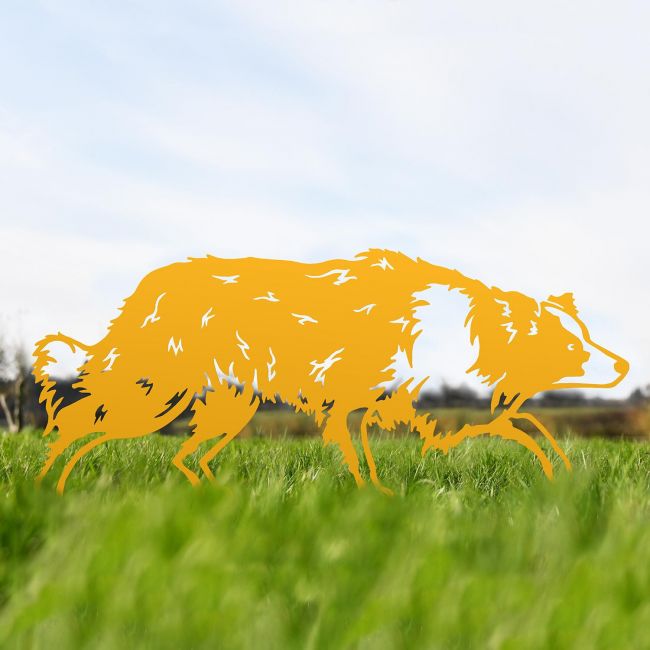 Yellow Border Collie Sheepdog Silhouette in Situ Yellow Border Collie Sheepdog Silhouette in Situ