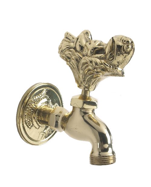 Polished Brass Toad In The Hole Garden Tap