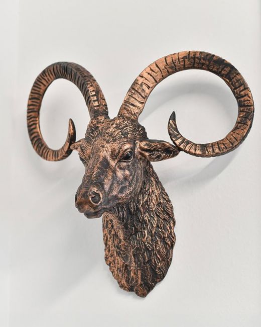 Brushed Bronze Mouflon Wall Bust Brushed Bronze Mouflon Wall Bust